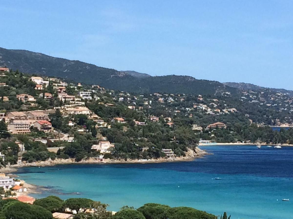 Appartement Altair Le Lavandou Dış mekan fotoğraf