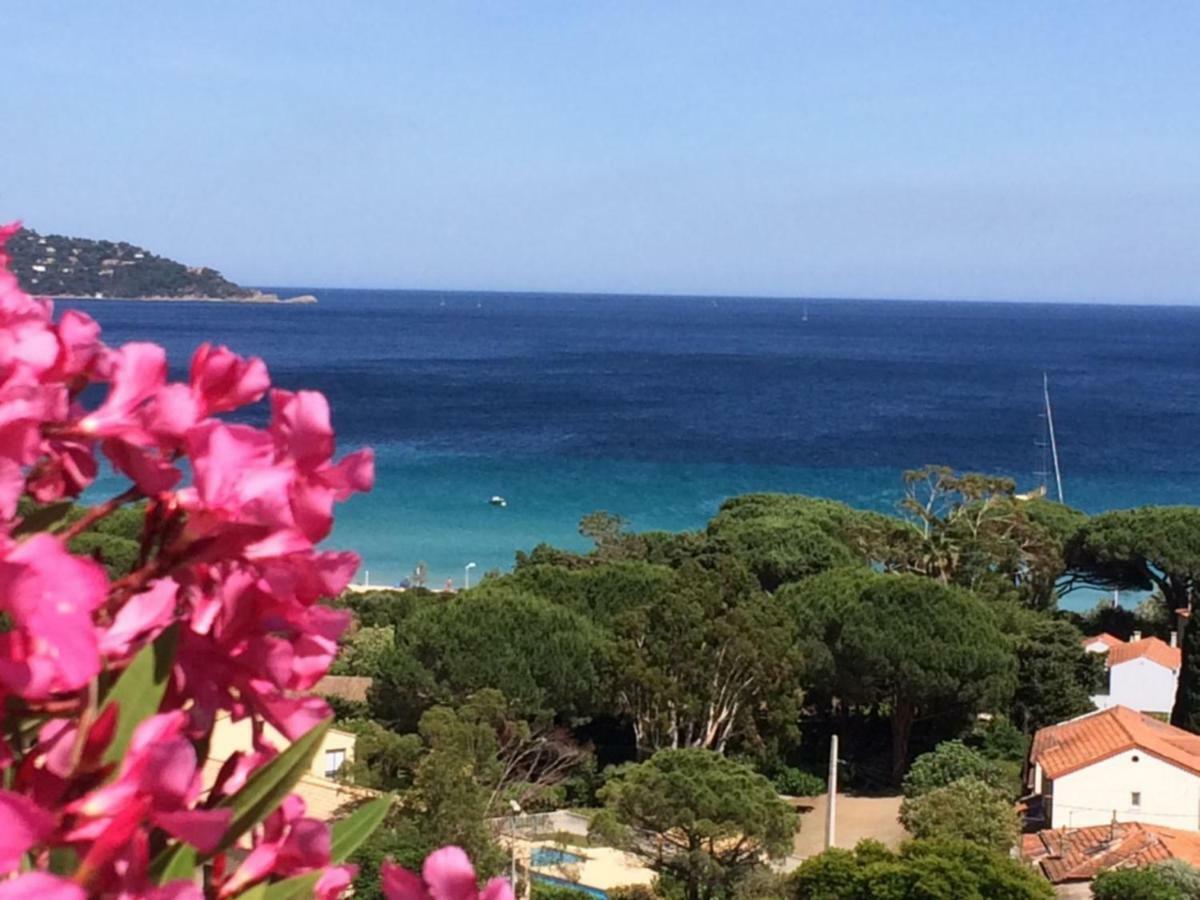 Appartement Altair Le Lavandou Dış mekan fotoğraf