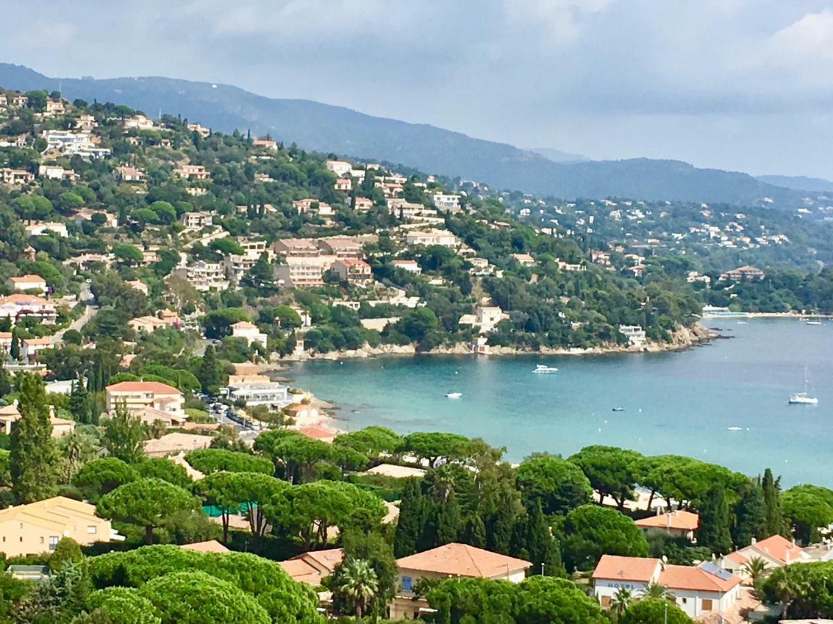 Appartement Altair Le Lavandou Dış mekan fotoğraf