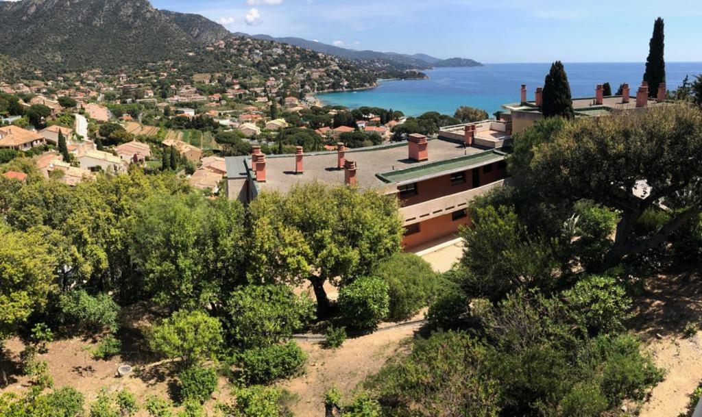 Appartement Altair Le Lavandou Dış mekan fotoğraf