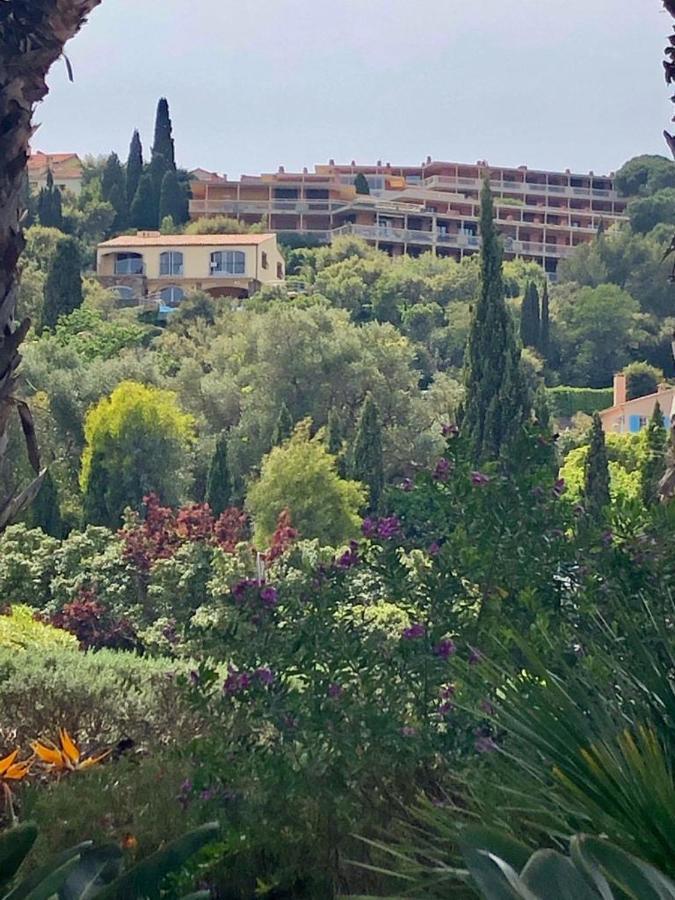 Appartement Altair Le Lavandou Dış mekan fotoğraf